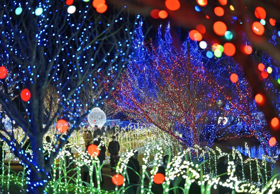かわち水と緑のふれあい公園をきらびやかに彩るイルミネーション=13日夜、河内町長竿