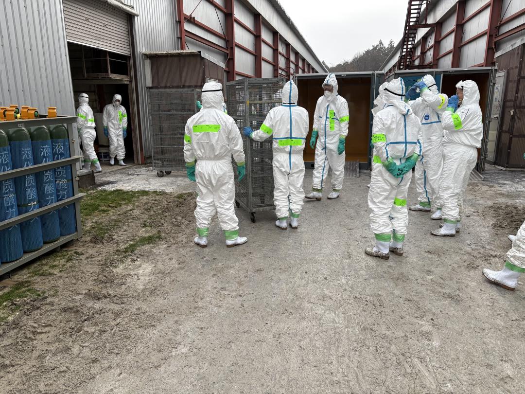 鳥インフルエンザが発生した養鶏場で、殺処分の準備をする県職員たち=25日午前9時15分、茨城県城里町(県提供)