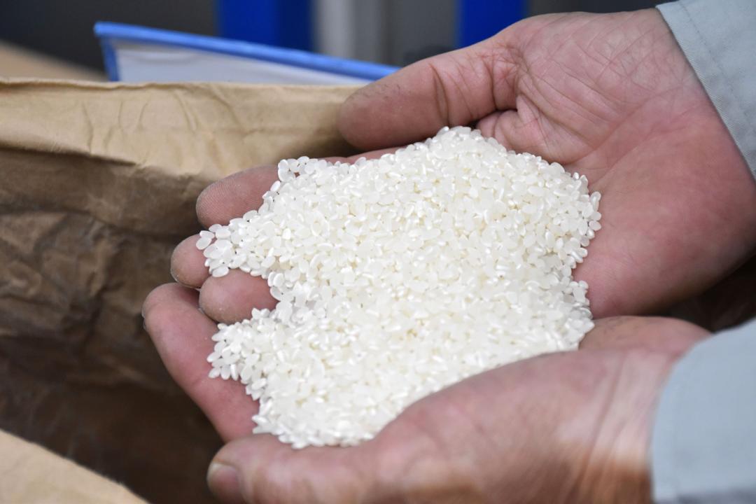 精米されたお米（資料写真）
