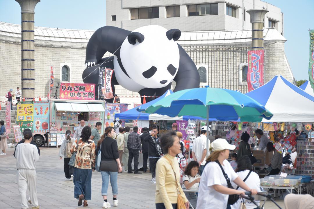 パンダ誘致を応援するために開かれたパンダフェス。日中双方の事業者が出店し、にぎわった=10月、日立市幸町