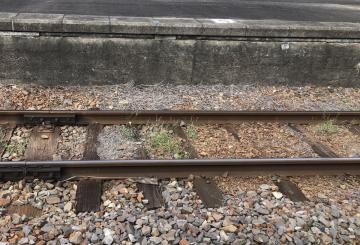 写真はイメージ