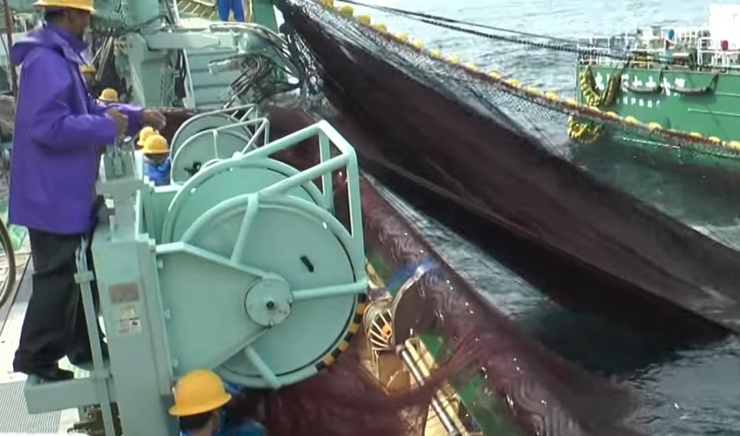 巻き網漁船が網を揚げるイメージ(神栖市波崎漁業後継者育成対策協議会提供)