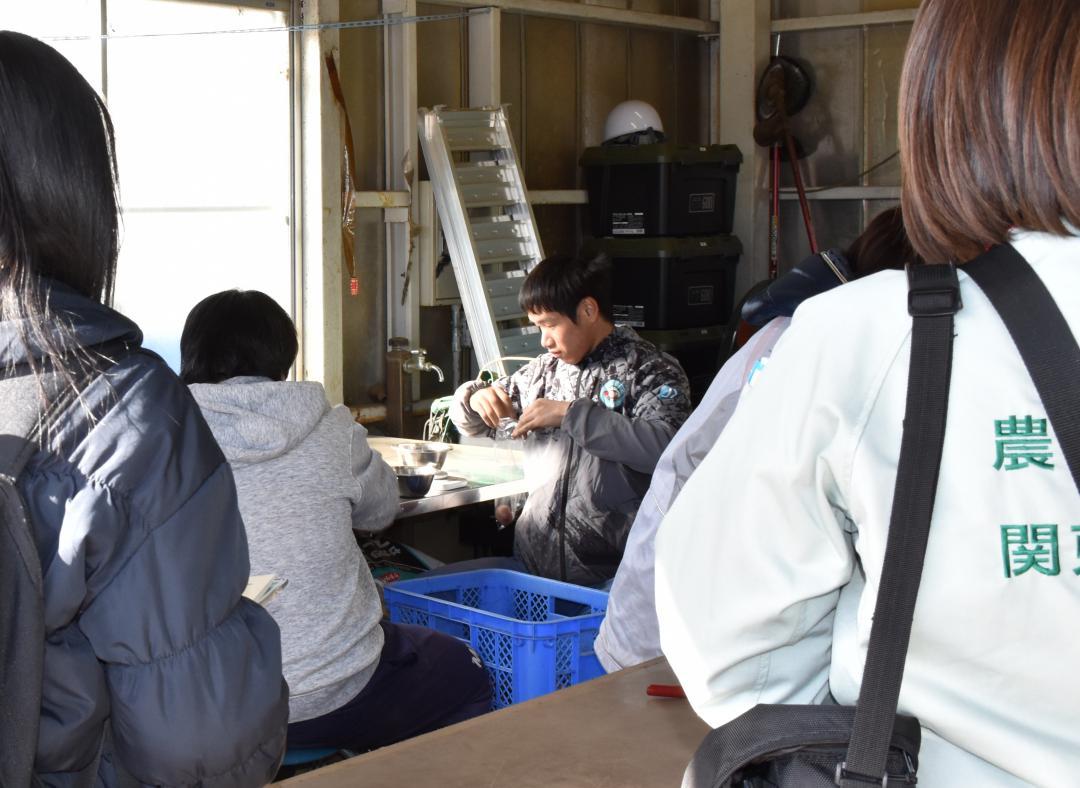 報道関係者らがジャガイモやニンジンの袋詰め作業を見学、取材した現地見学会=水戸市内原町