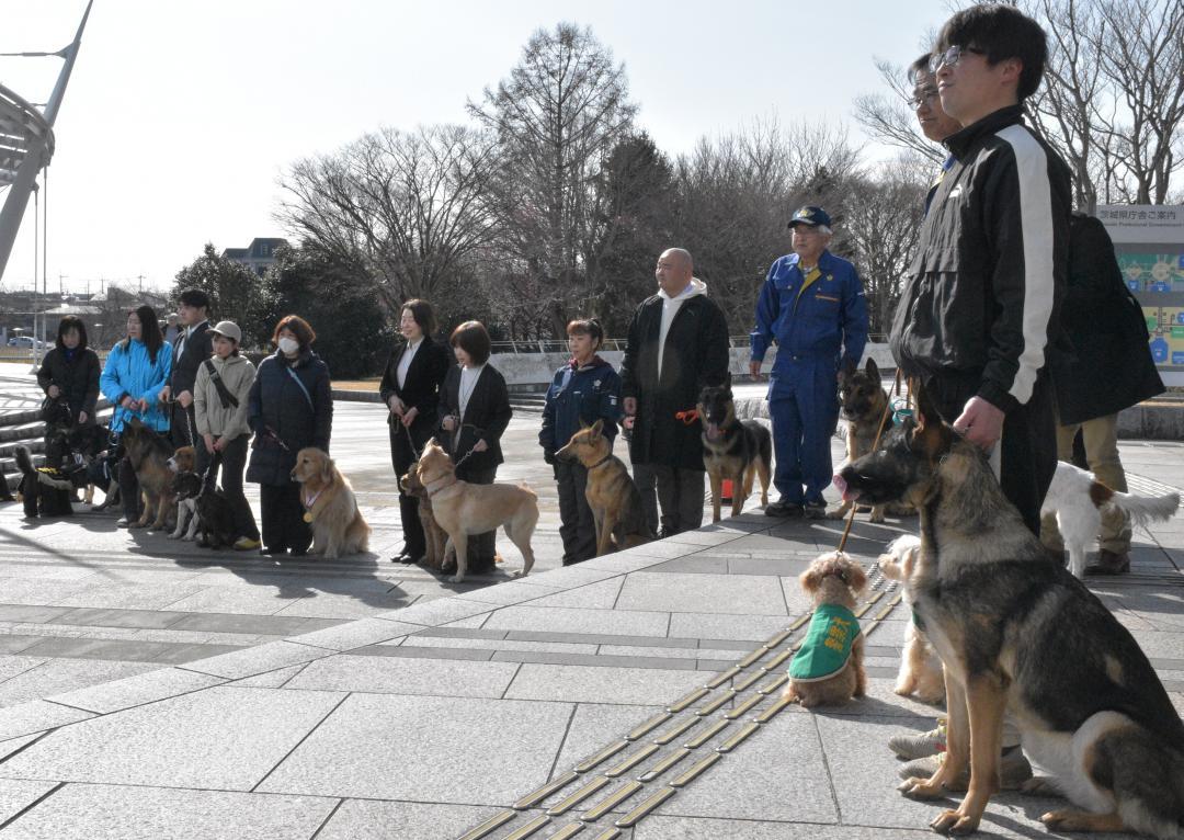 嘱託式後、県警本部前で記念撮影をする警察犬と指導士ら=水戸市笠原町