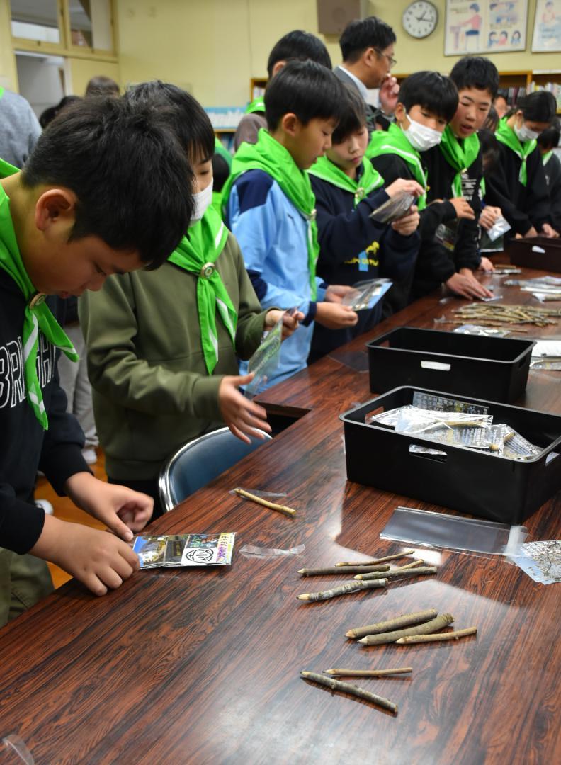 鉛筆の袋詰め作業をする児童たち=潮来市立津知小