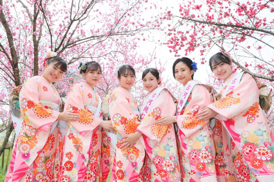 現在の古河桃むすめ(古河市観光協会提供)