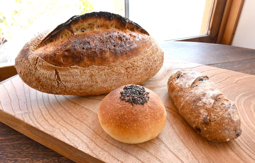 パンヤノテラの「カンパーニュ」