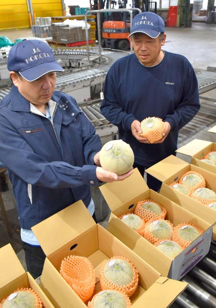 初出荷されるメロンを確認する検査員ら=鉾田市徳宿