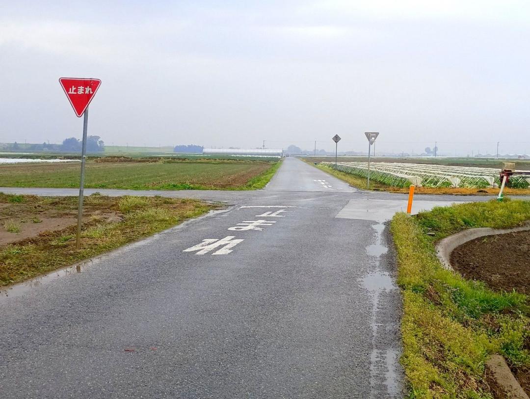 乗用車と軽乗用車が衝突した現場=4日午後0時20分、坂東市長須